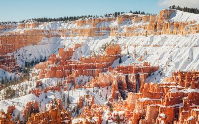 貝雅特陶瓷 | 生態(tài)地鋪石，為城市綠色建設(shè)助力！